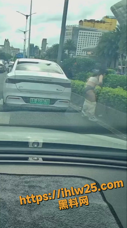 广西南宁街边 车牌桂A23678车上的一名女子下车在马路上方便 连衣裙脱掉就开始拉！