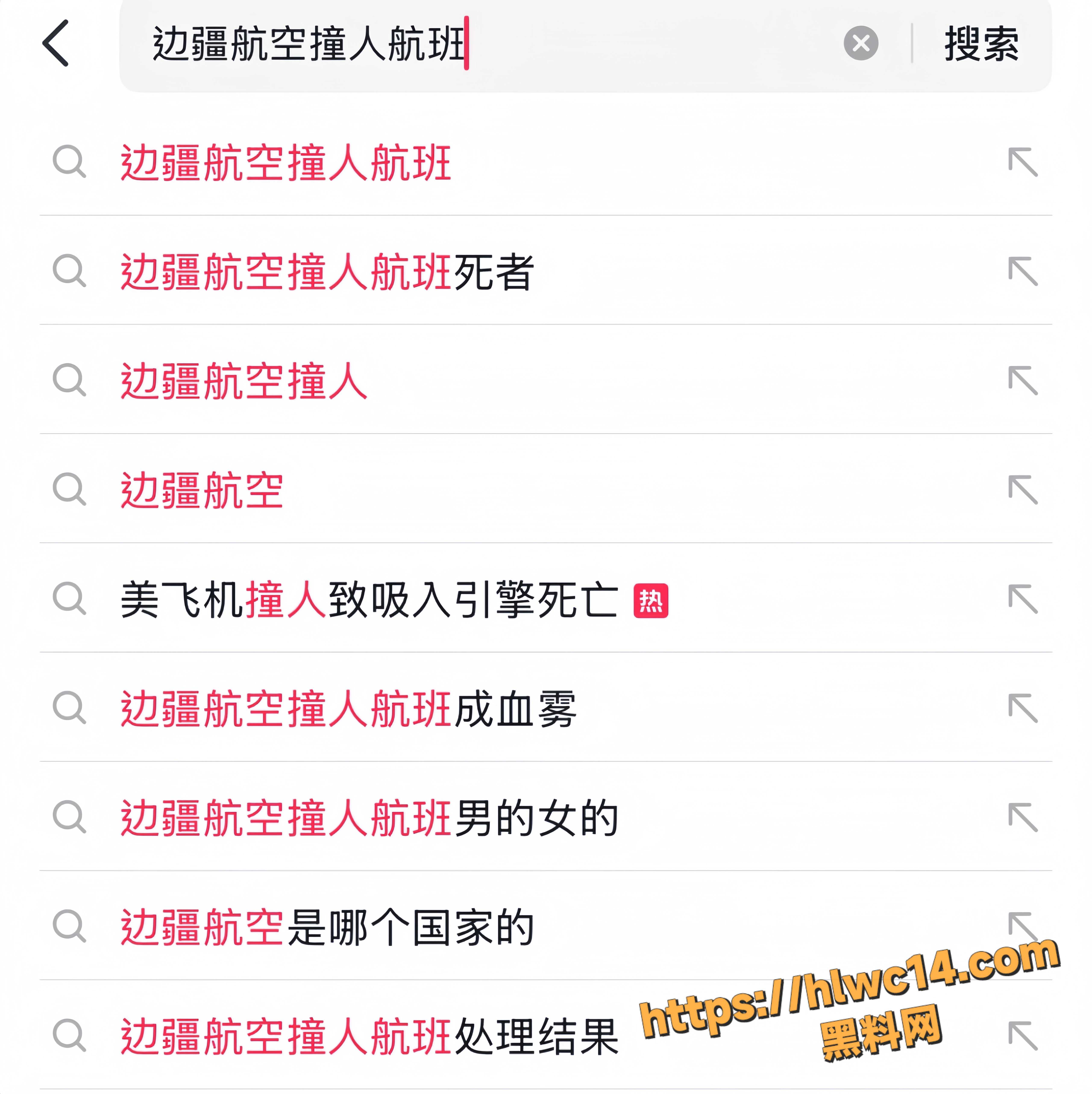 美国边疆航空 4345航班 行人翻围栏闯入跑道 惨被吸进引擎惨死 现场血肉模糊