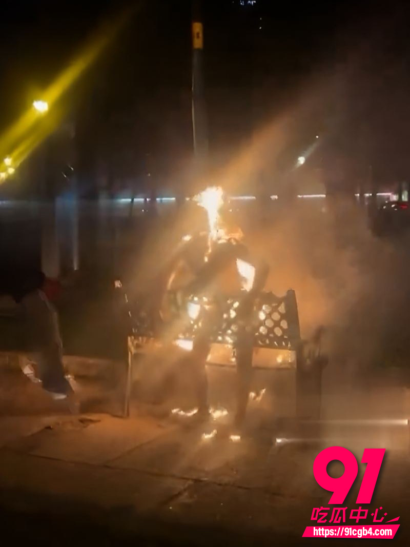 越南胡志明市公园自焚事件 1 越南胡志明市公园自焚事件 1