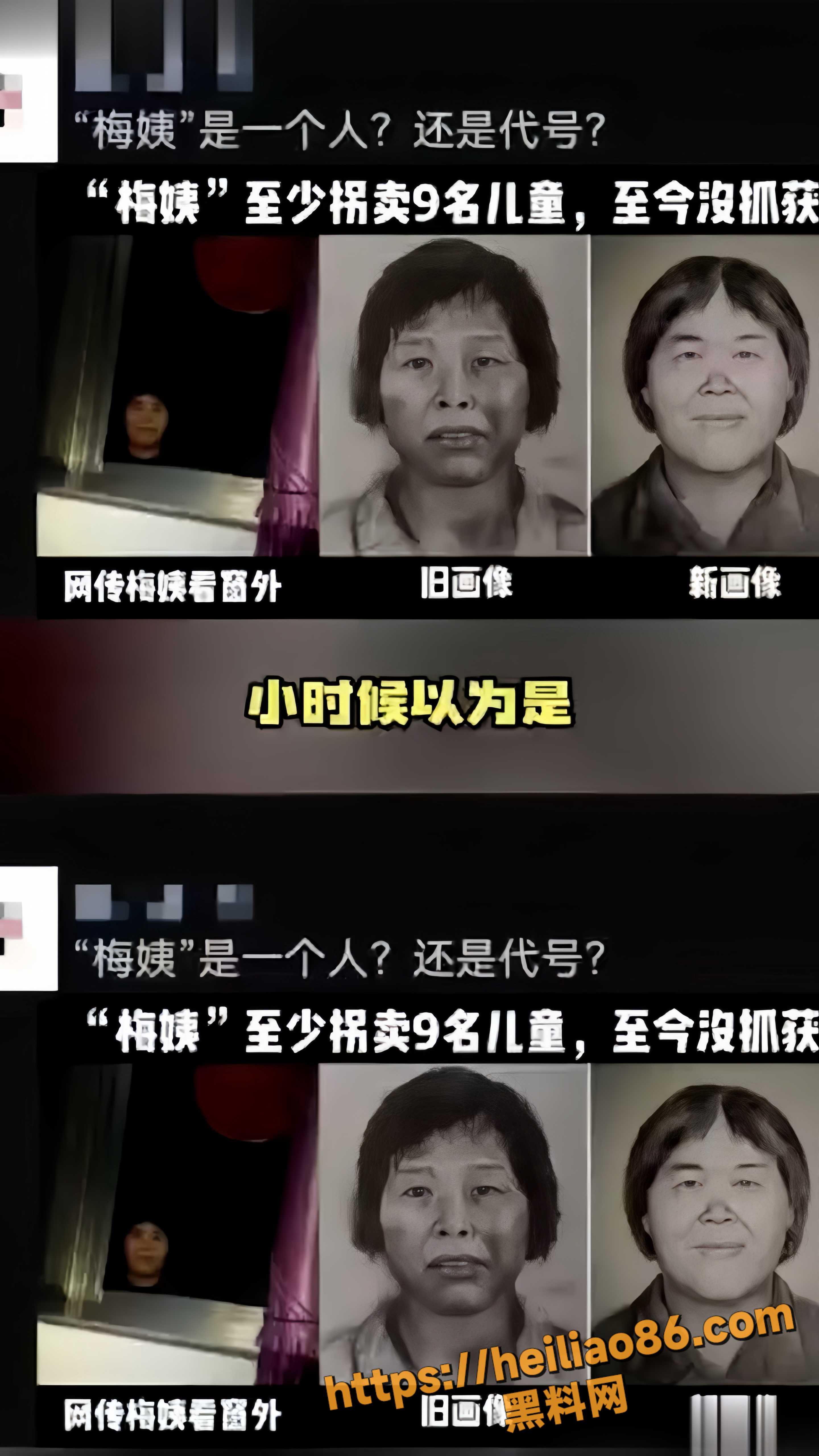 潜逃23年 梅姨 终于落网 拐卖关键人谢某某被抓 正义虽然迟到但不会缺席