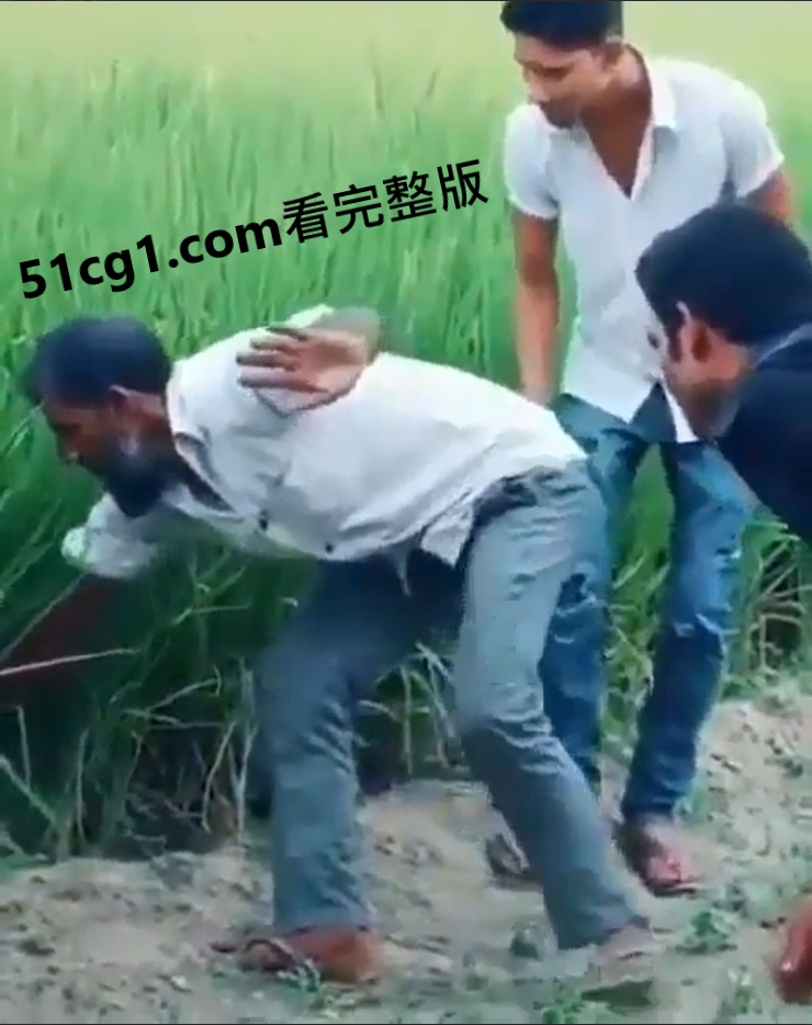 “小心草丛!”