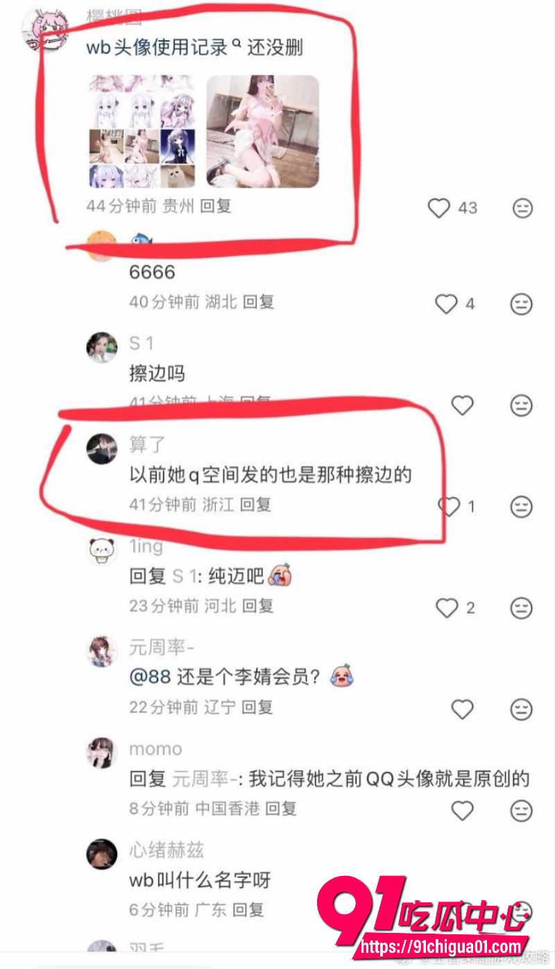 狼队道崽女友星之卡比13 狼队道崽女友星之卡比13