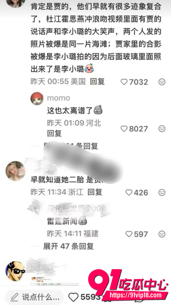 贾乃亮李小璐27