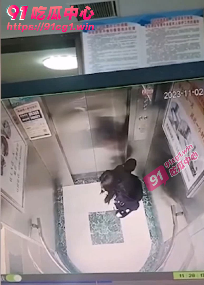 11月2日河南驻马店 不文明行为 女子在电梯内排泄无视监控 随后淡定离开