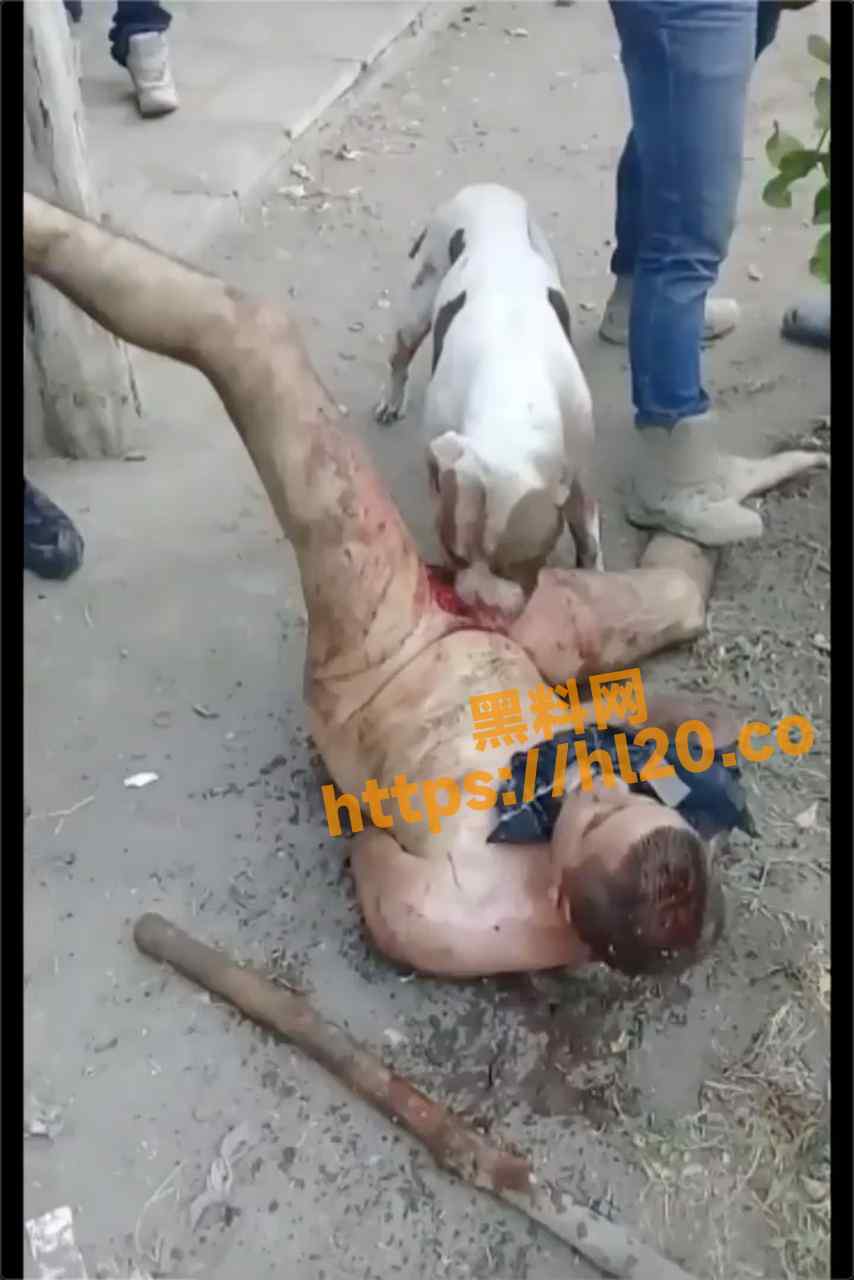 墨西哥强奸犯遭黑帮私刑被狗吃掉生殖器！强奸犯就该是这个下场！！重口味视频！！