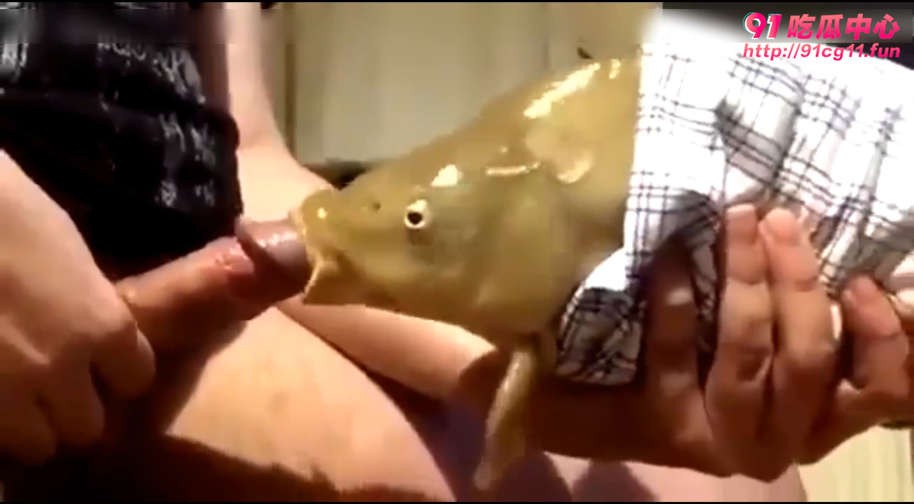 万物皆可操之鲤鱼篇～自慰打飞机 居然用活鱼？