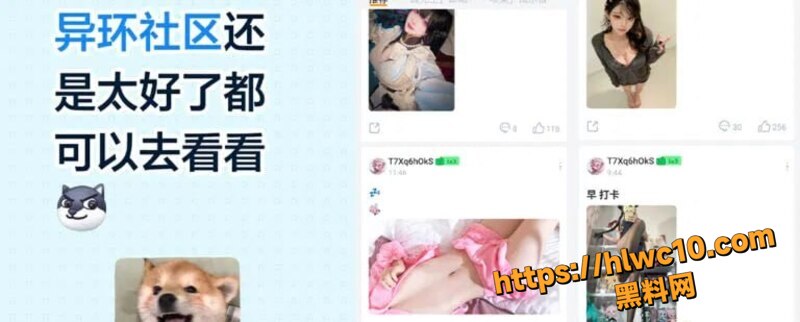 二游塔吉多社区变暗网 异环手游玩家聚集地成福利姬福利视频天堂