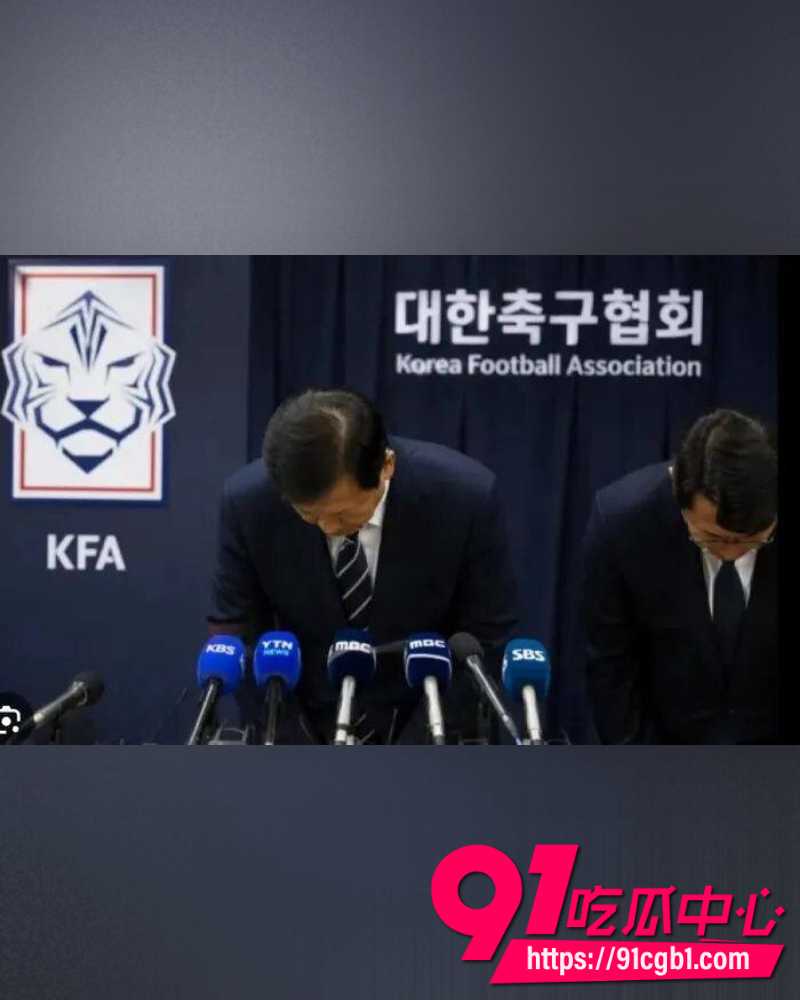 韩国足协曝光2012年性招待丑闻 18