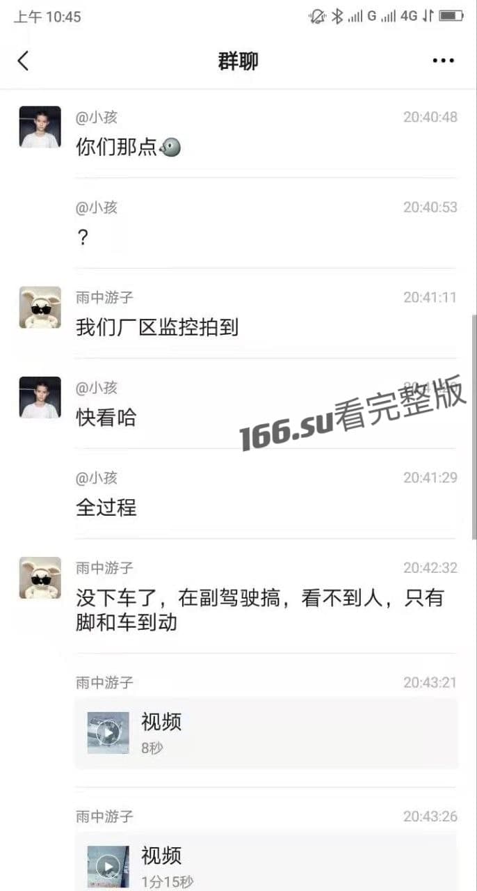 厂区监控拍到的野鸳鸯 配图2