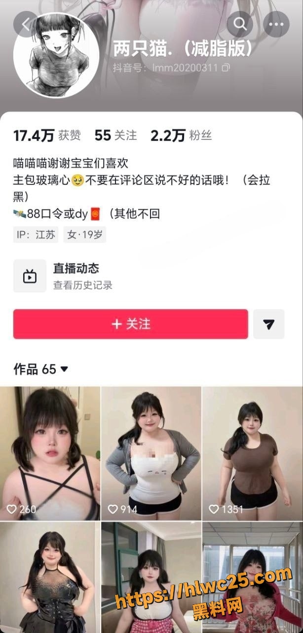 抖音性感网红 两只猫 小坦克肥臀私拍福利 肉感反差拿捏你的心