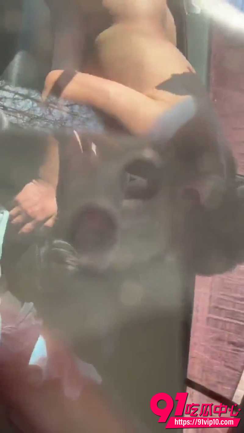 车震偷拍视频 2