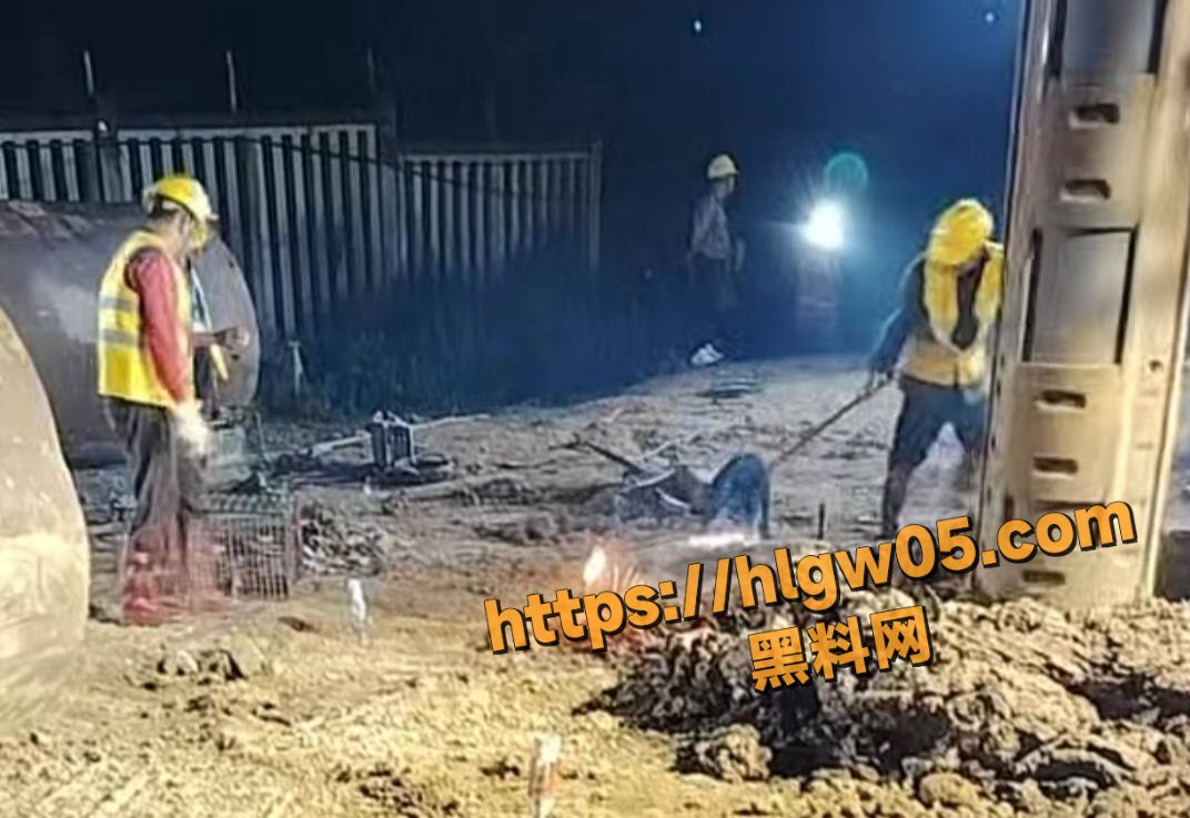广西工地开工以黑狗祭祀祈求顺利 黑狗被残忍杀害血洒现场 视频曝光引起网友不满！