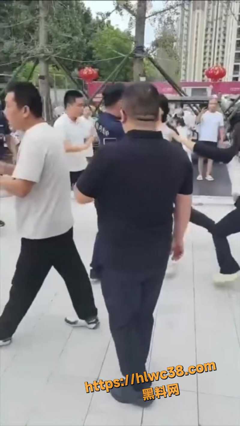 河北平乡 金天凤凰城保安群殴业主 多人被按倒在地惨叫