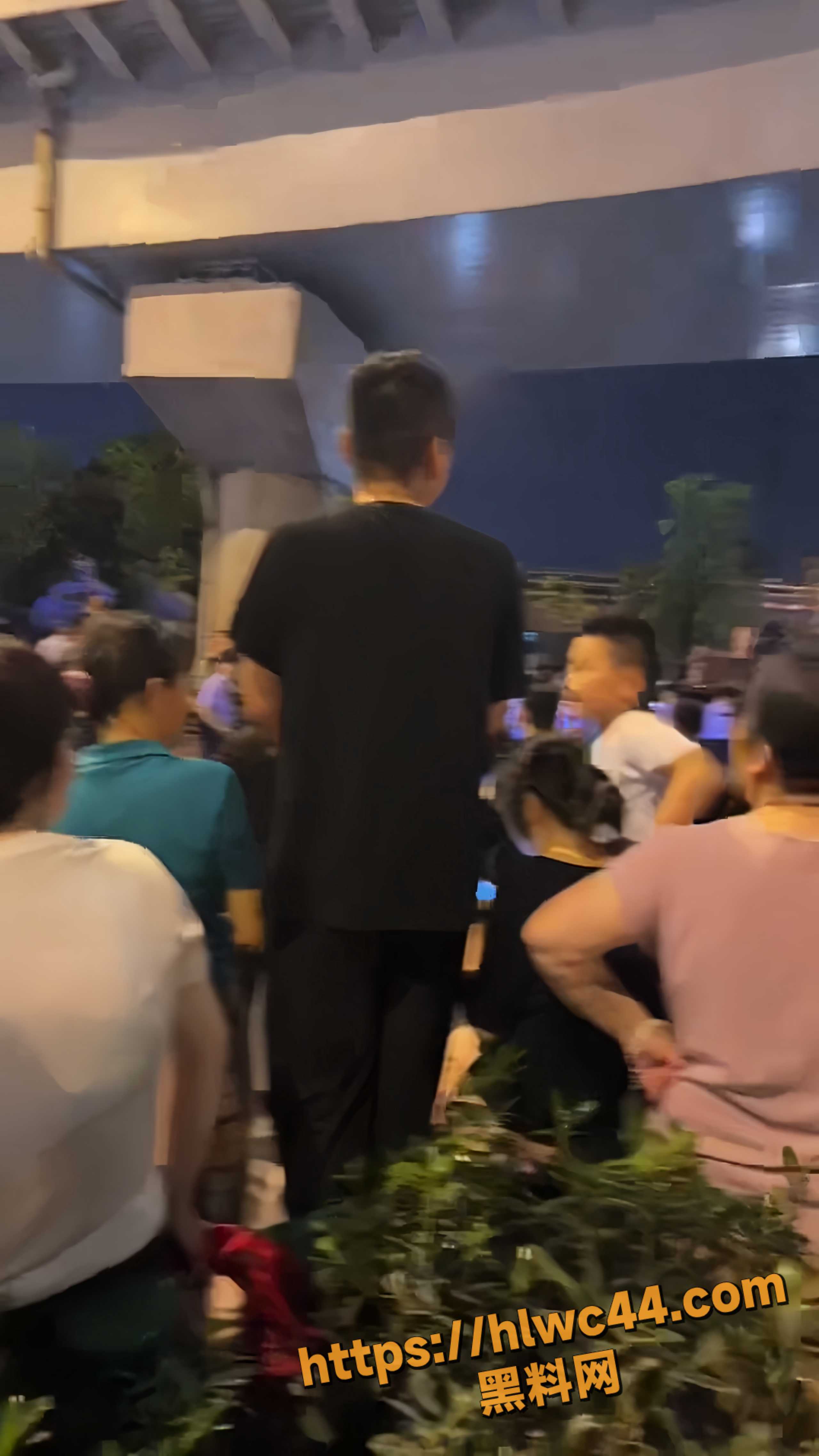 安徽合肥北二环垃圾站规划 被民众怒怼取消 数百居民高架桥上聚集维权