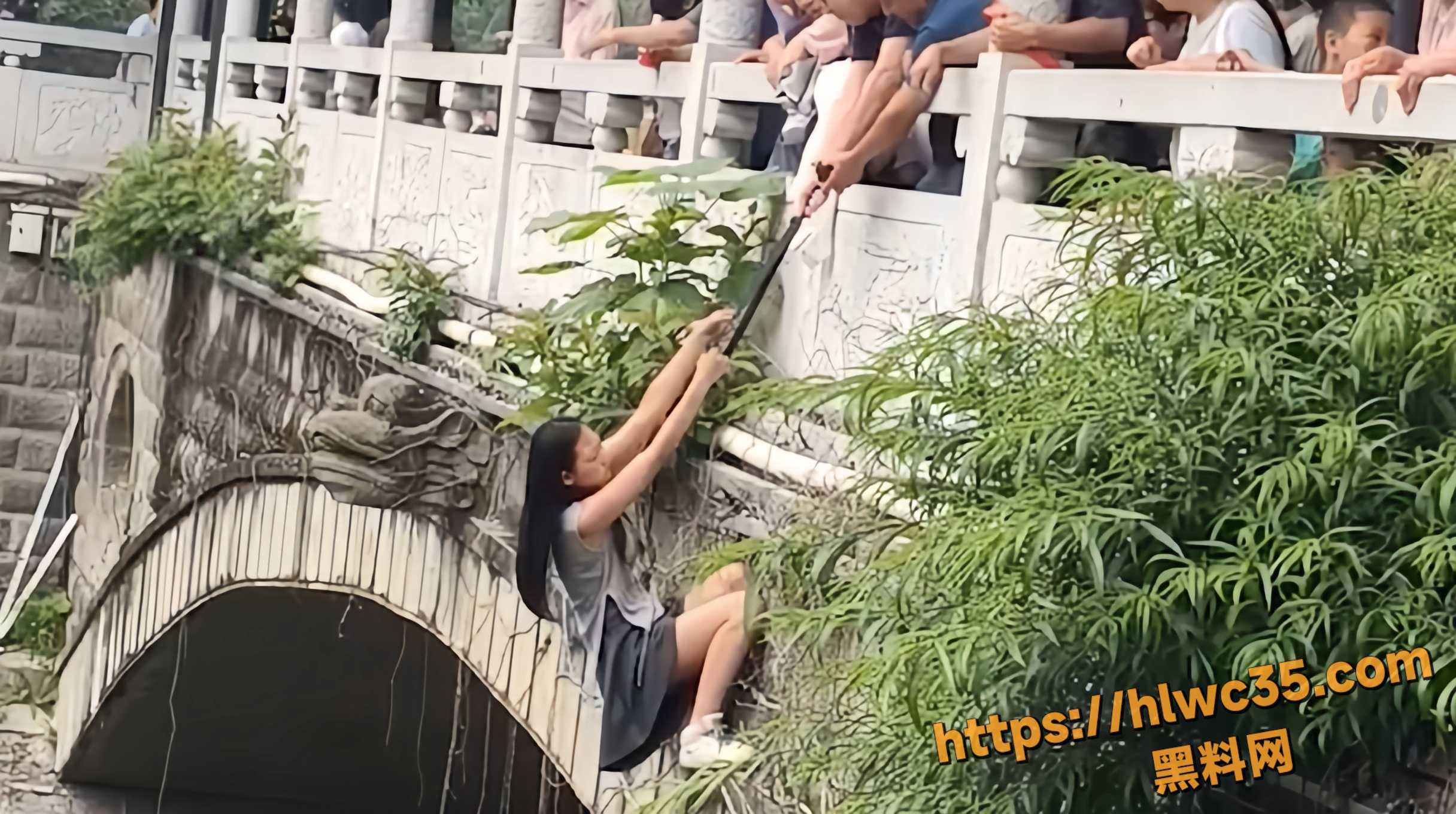 黑料正能量 杭州集美河畔 热心游客 跳水救援轻生女子 英勇画面感动全网