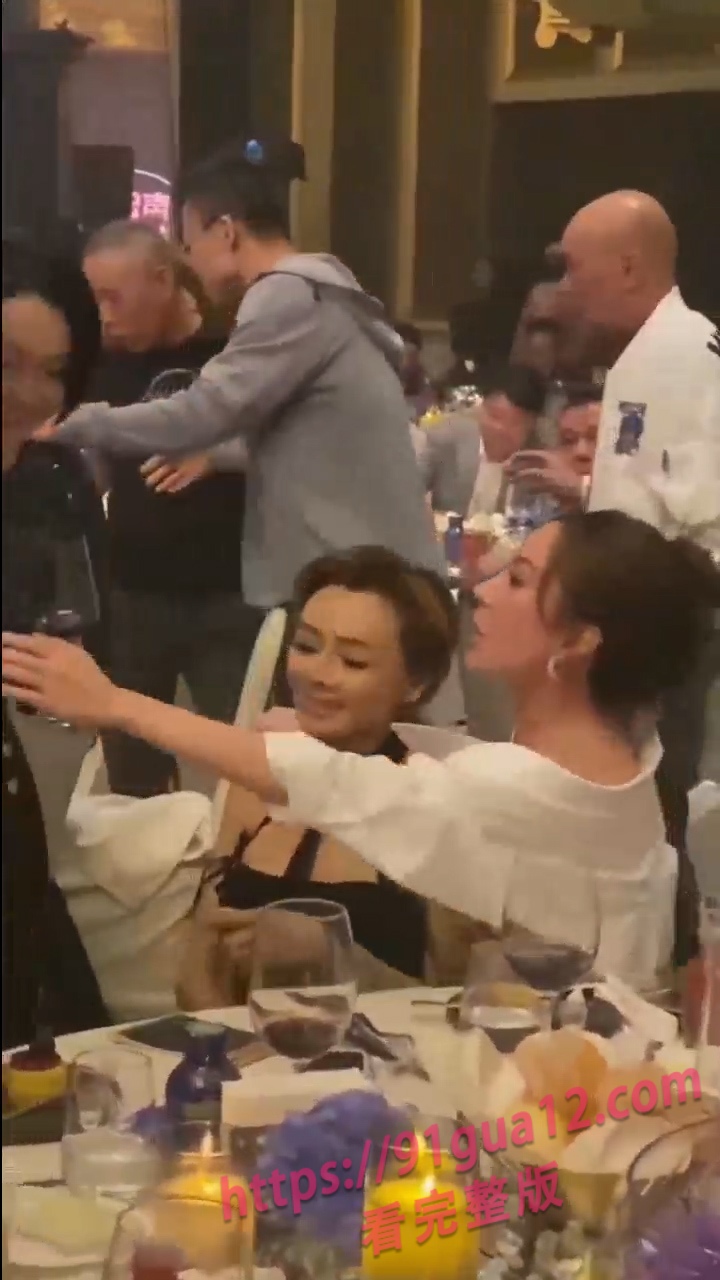 叶子楣2