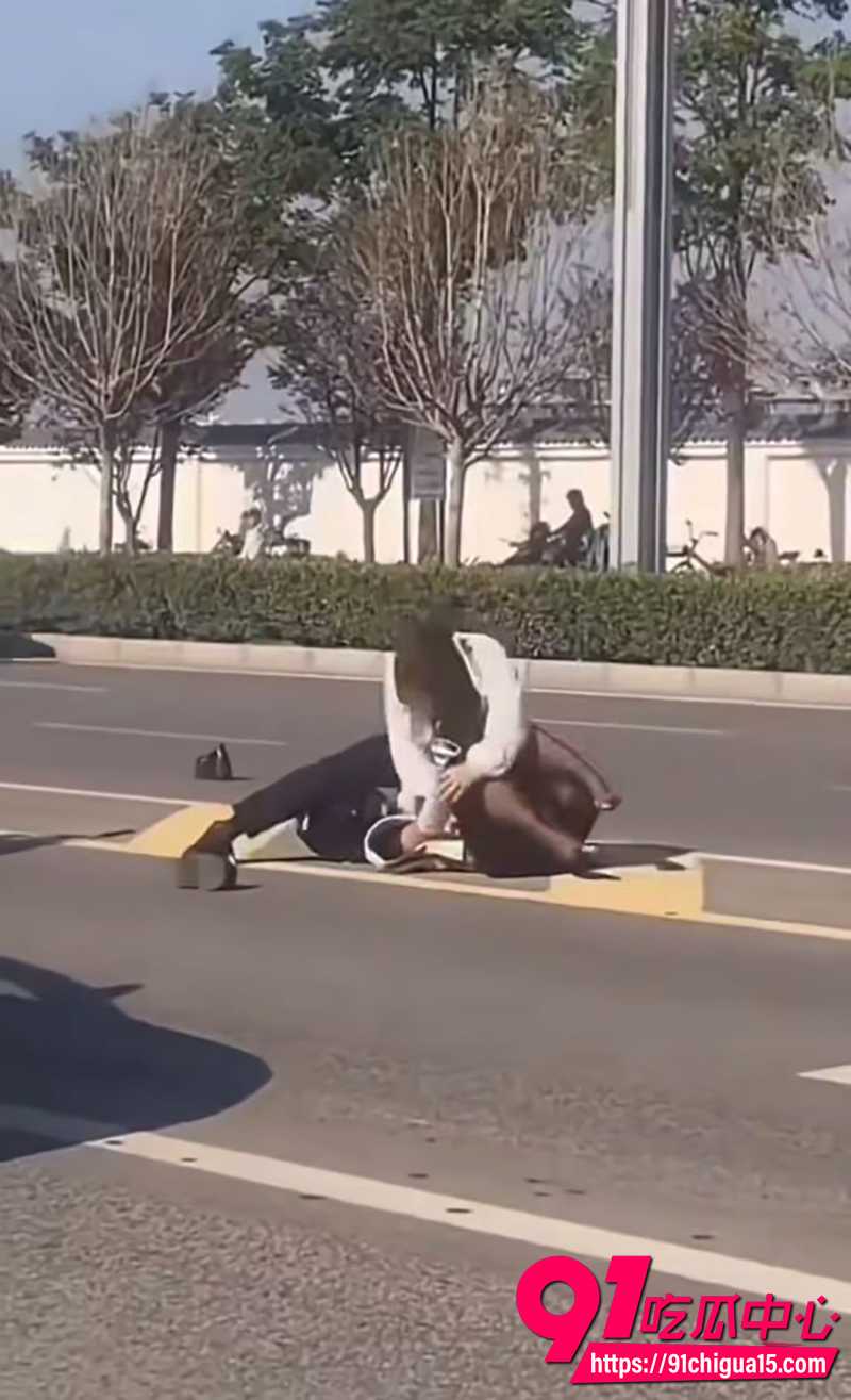 路怒男暴打小姐姐  5