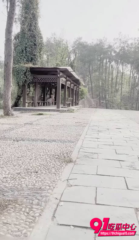 崽崽定制福利视频3