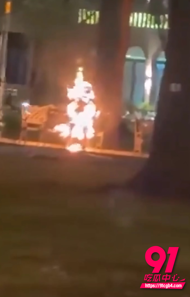 越南胡志明市公园自焚事件 6 越南胡志明市公园自焚事件 6