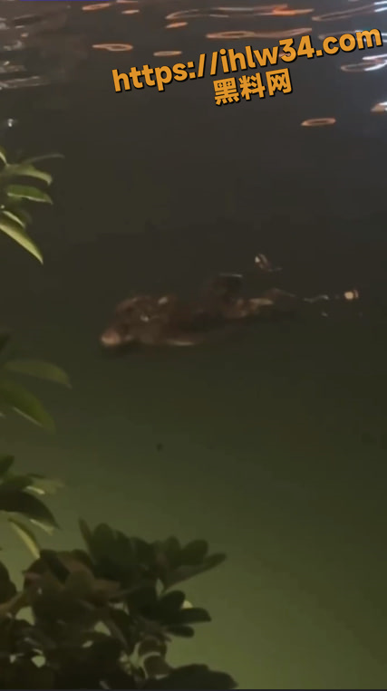 成都兰桂坊酒吧惊现浮尸 身穿AJ鞋浮尸 身体已经高度腐蚀看不清楚人脸 已经出现了巨人观！
