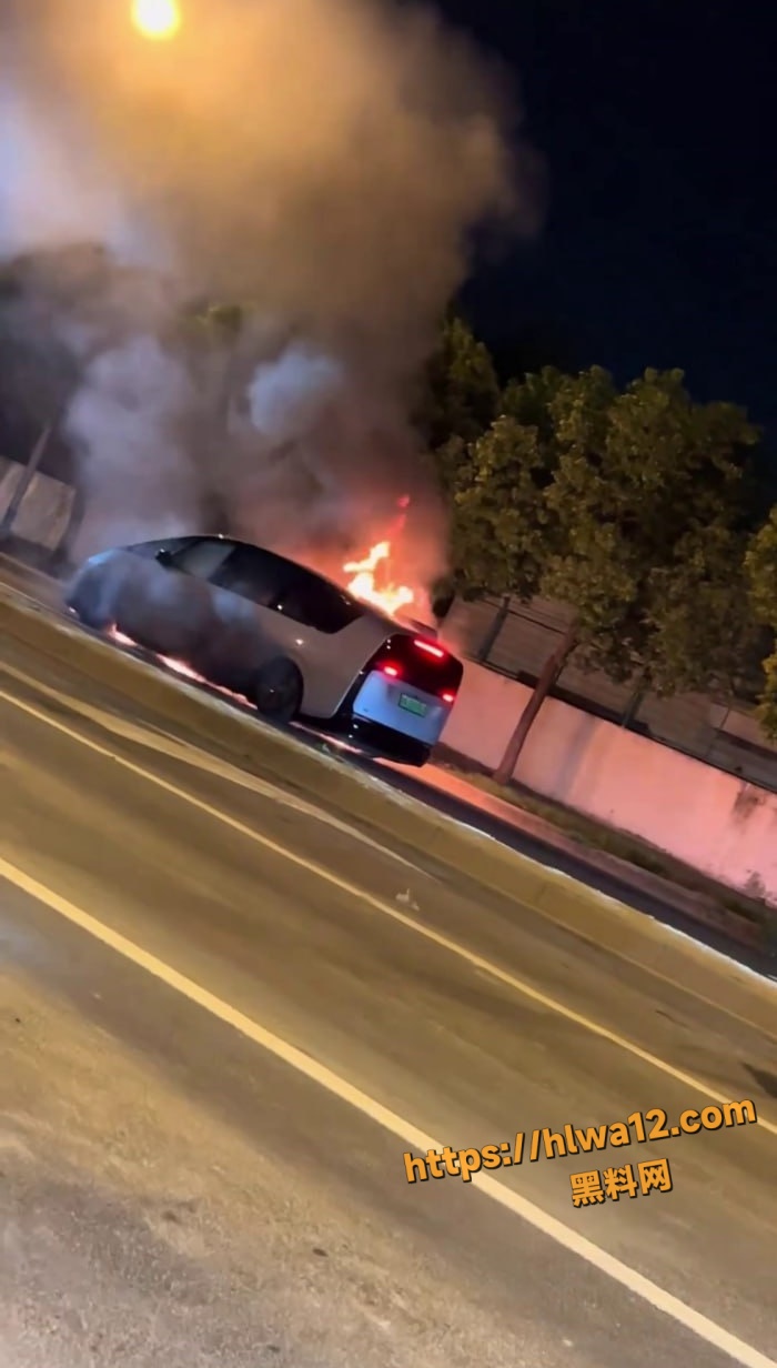 新能源车又出事了！理想MEGA电车行驶中自燃爆燃 火光瞬间吞没整车 安全再度成为热议焦点！