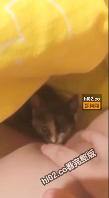 这个逼很臭吗？ 猫猫一脸嫌弃，为什么还是甜得津津有味？