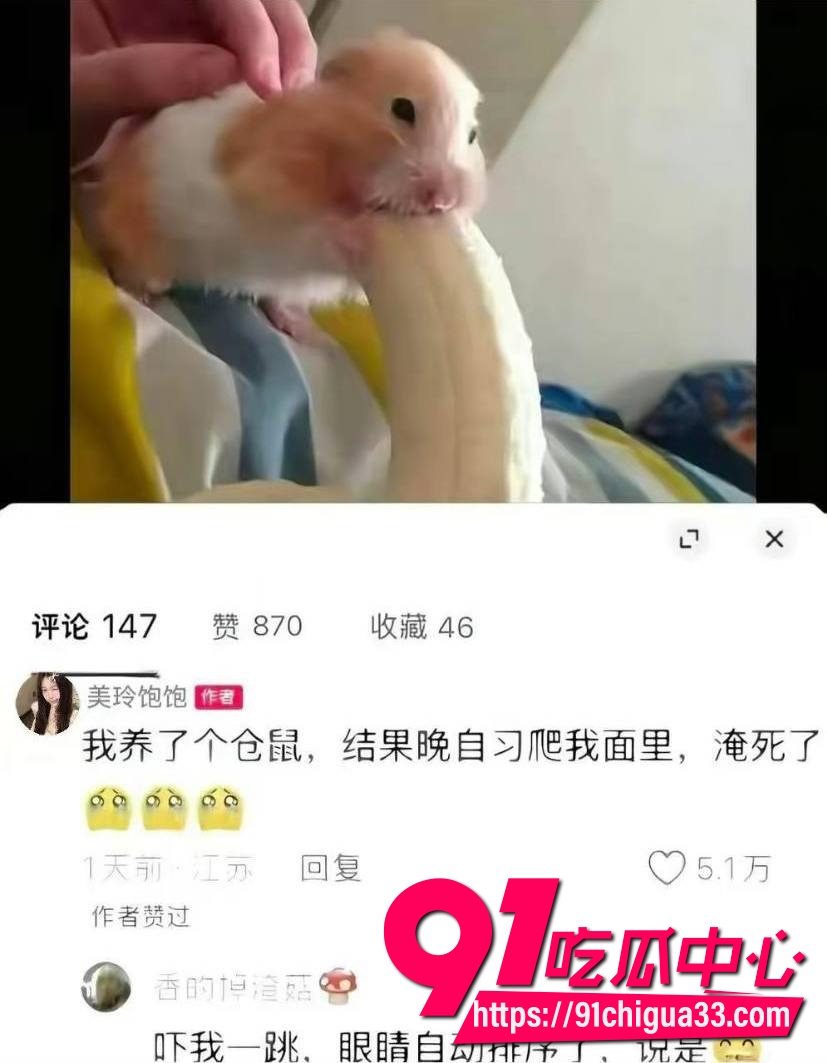 美玲饱饱涂涂小布9 美玲饱饱涂涂小布9