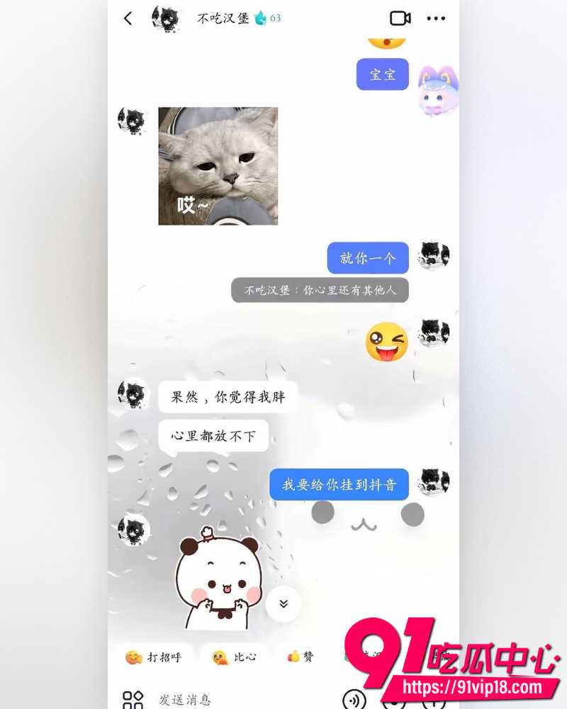抖音网红不吃汉堡 9