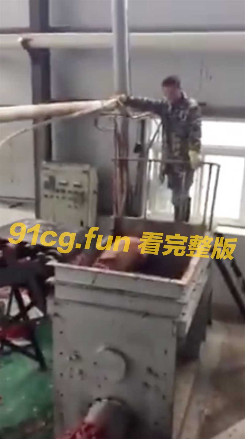 截圖-2023-01-12-下午2.04.54.jpg