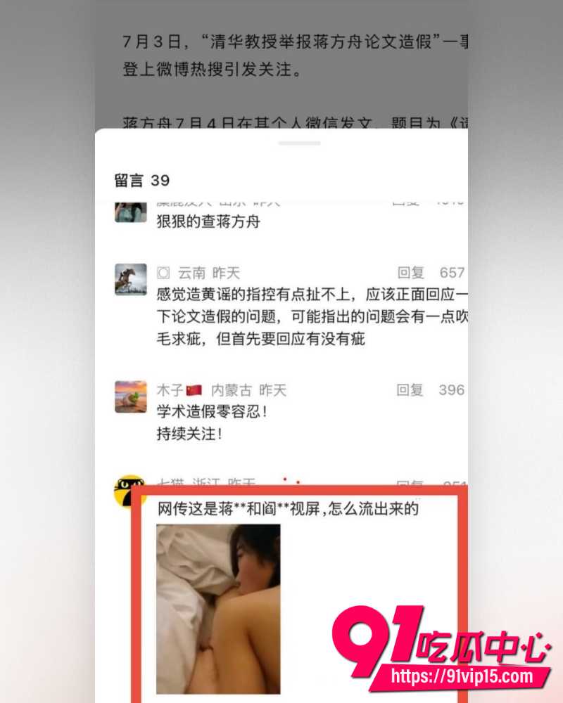蒋方舟论文造假 33