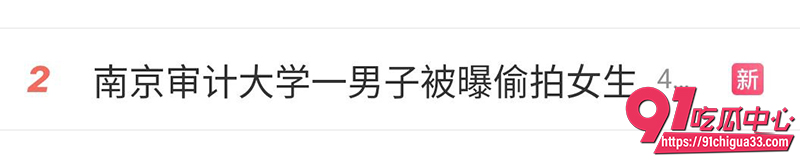 南京审计大学顾振佳  3