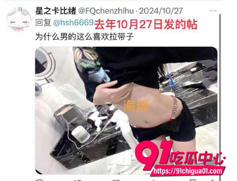 狼队道崽女友星之卡比2 狼队道崽女友星之卡比2