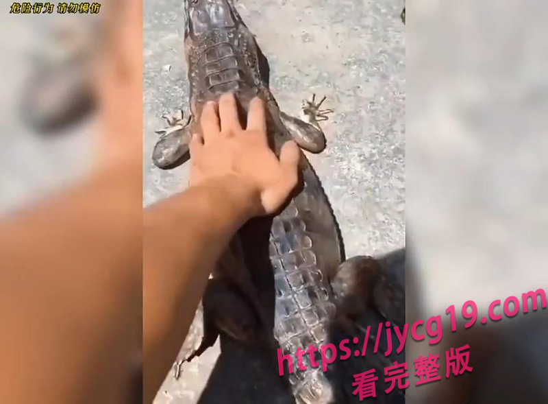 惹谁不好惹动物！挑衅反被爆打的爆笑翻车现场 配图5