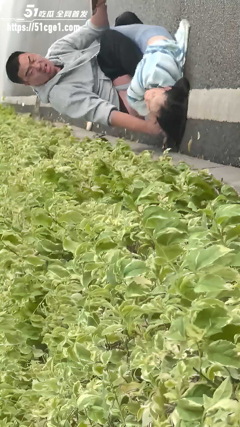 山西太原街头男女互撕  1