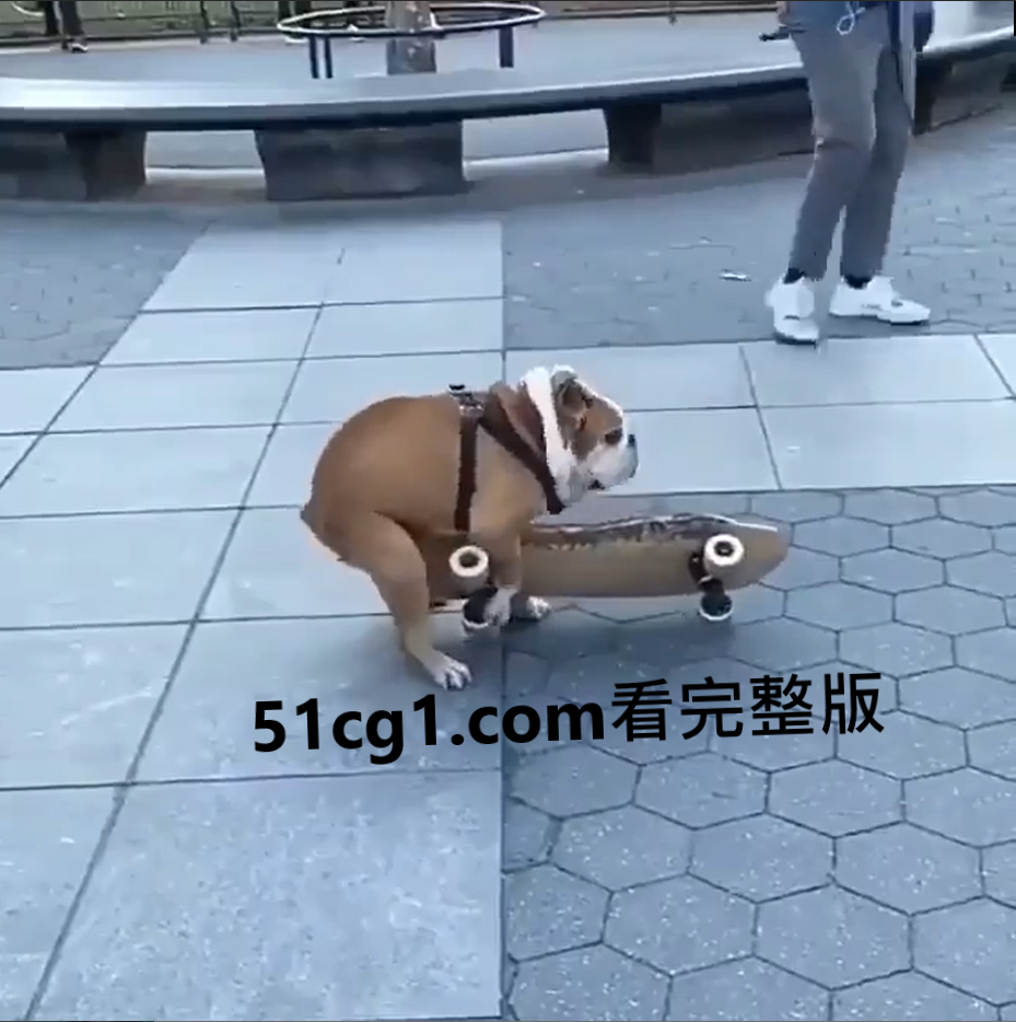 狗狗也饥渴了