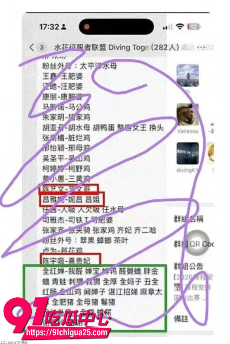 全红婵被骂肥羊3