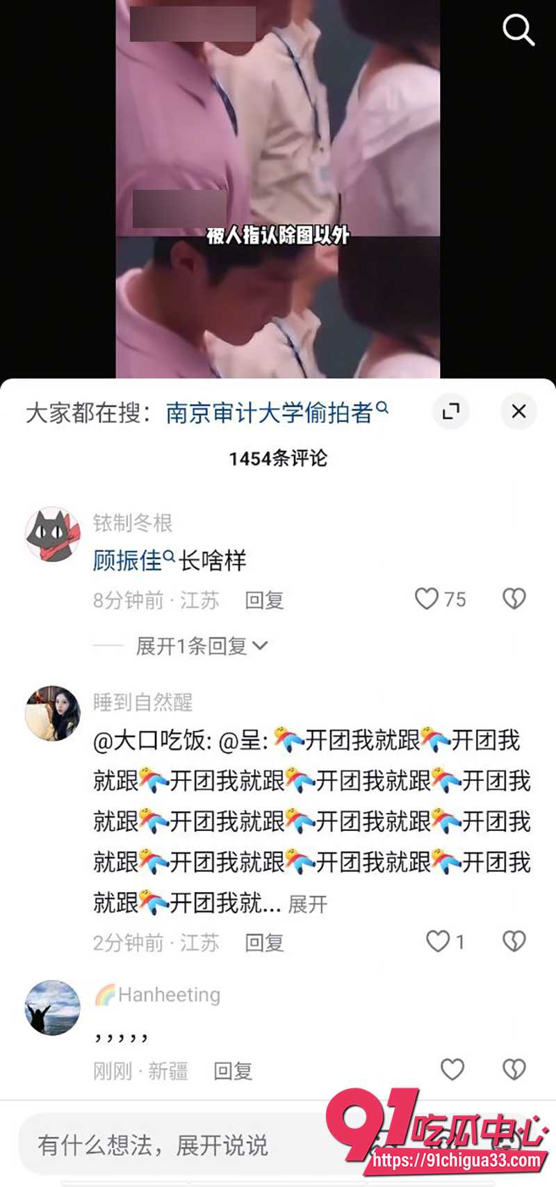 南京审计大学顾振佳  1