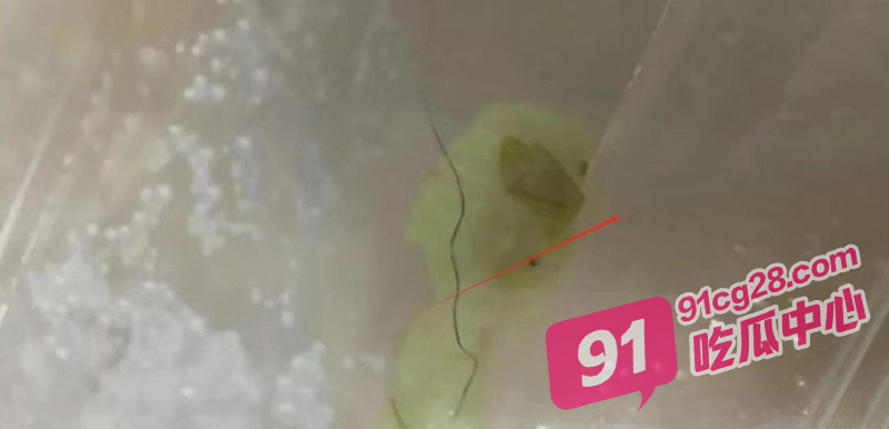 逆天小仙女裤裆拔毛只为逃单 现在的社会风气怎么都成这样了？ 配图2