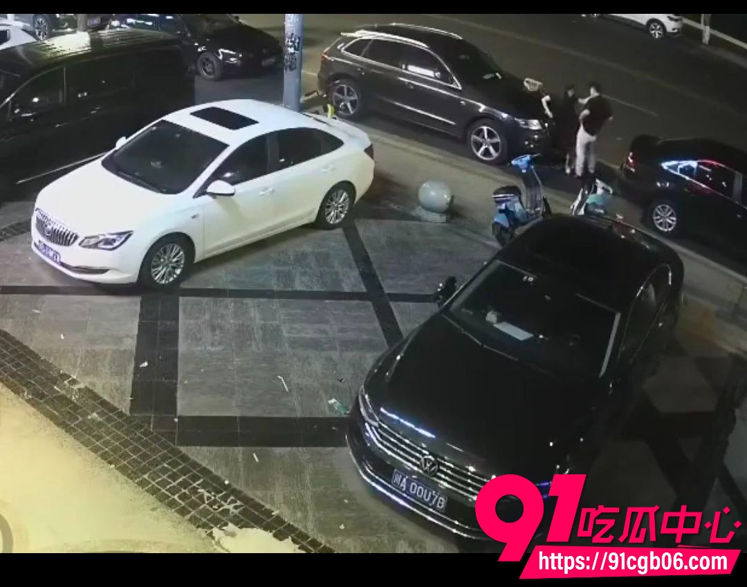 野鸳鸯精虫上脑路边车旁激情啪啪1