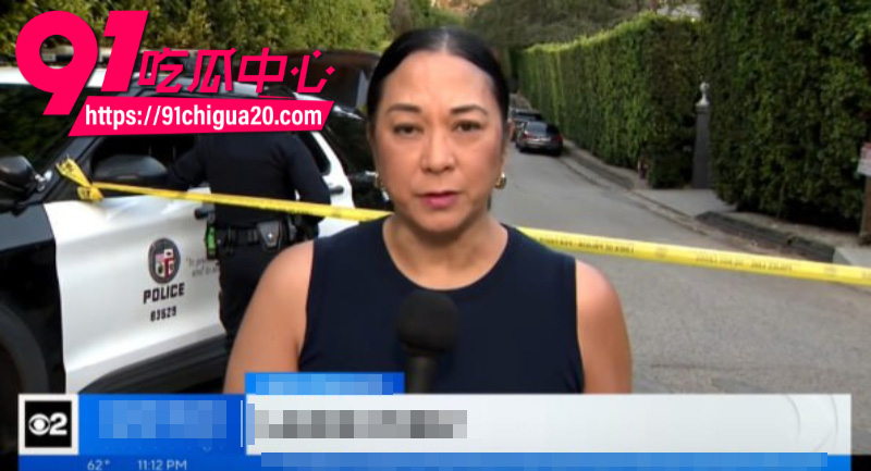美国巨星蕾哈娜豪宅遭枪击8