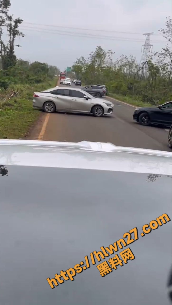 海南海口惊魂一幕 小车直接碾过地上躺人 肠子流一地 场面极度血腥 算故意杀人吗？