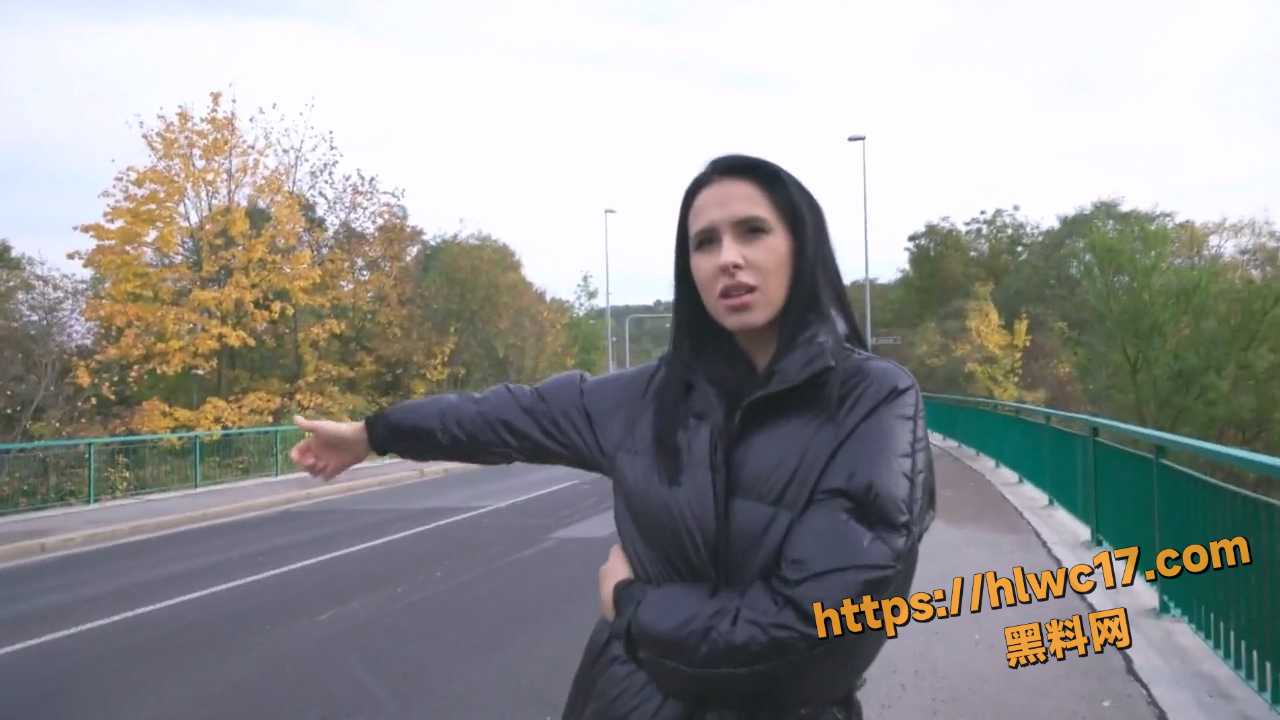 捷克街头搭讪系列 钞能力拿下气质女模特 暴力打桩绝美蜜桃臀