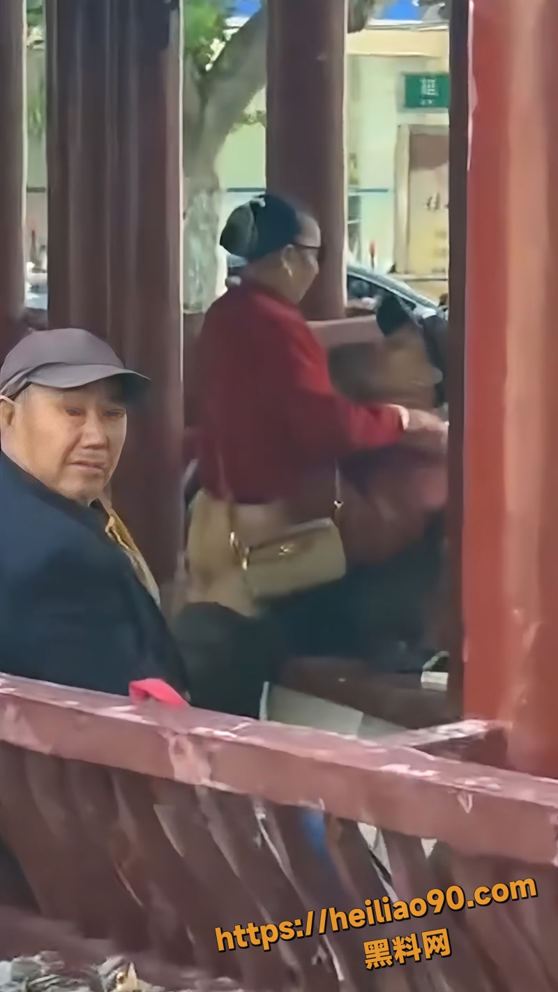 蚌埠大唐公园 大白天大爷大妈竟公然做爱 尺度大到喷血