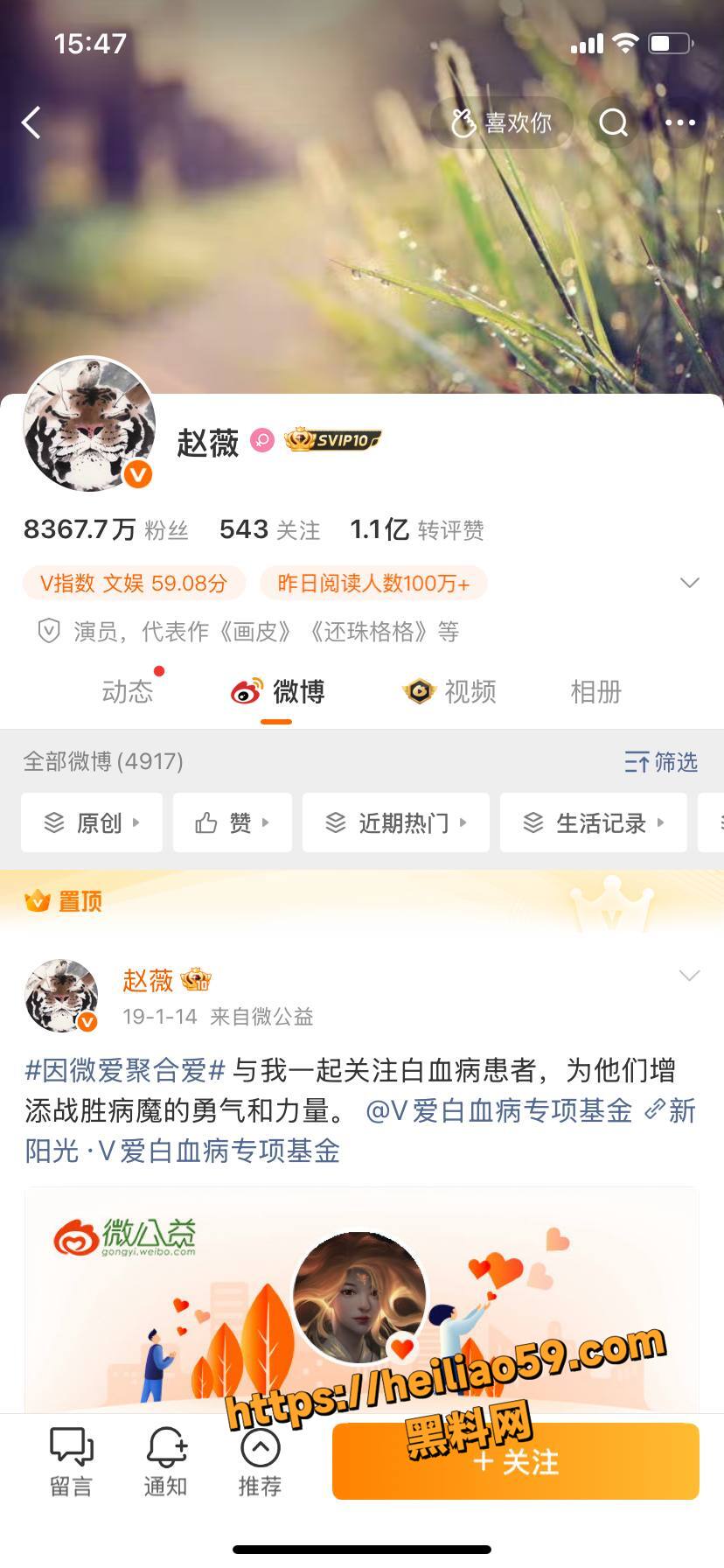 顶流明星 赵薇 李湘 卷入千亿电诈帝国 完整黑金链炸裂 表兄弟洗钱内幕曝光