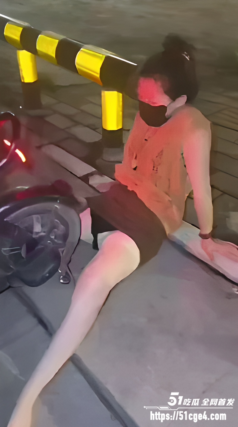 美艳少妇路边上演激情摸逼 1