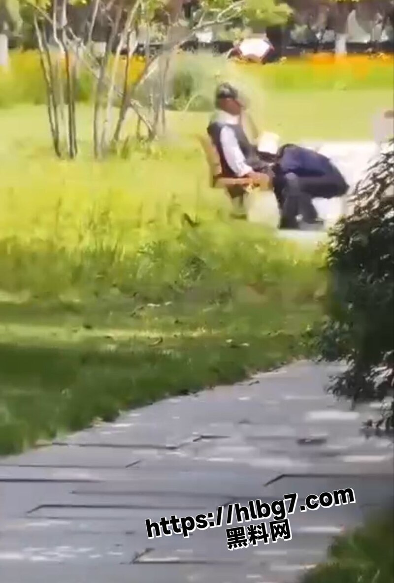 公园大爷大妈公园打野战视频完整版 独属老一辈人的激情时刻 要么说还得是你大爷！