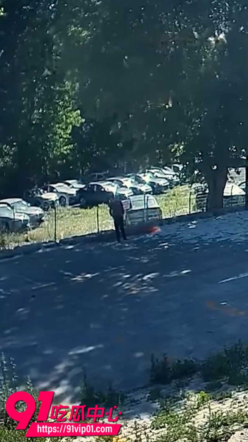 辽宁74岁老人嫌路边杨絮影响健身走步将其点燃导致20辆新能源汽车被烧毁1