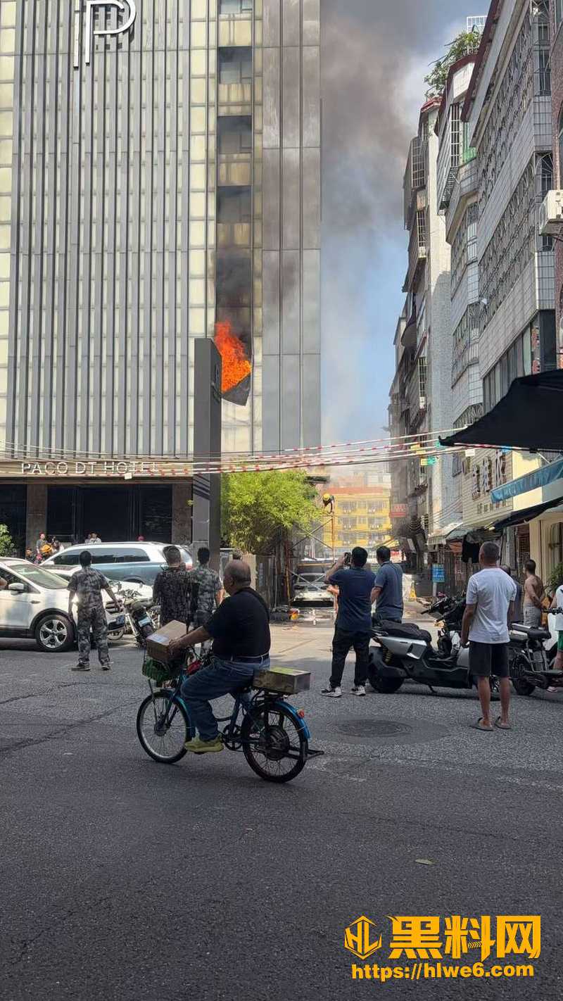 广州海珠区大塘片区 涉外宾馆 高空突燃大火 广告牌烧剩骨架