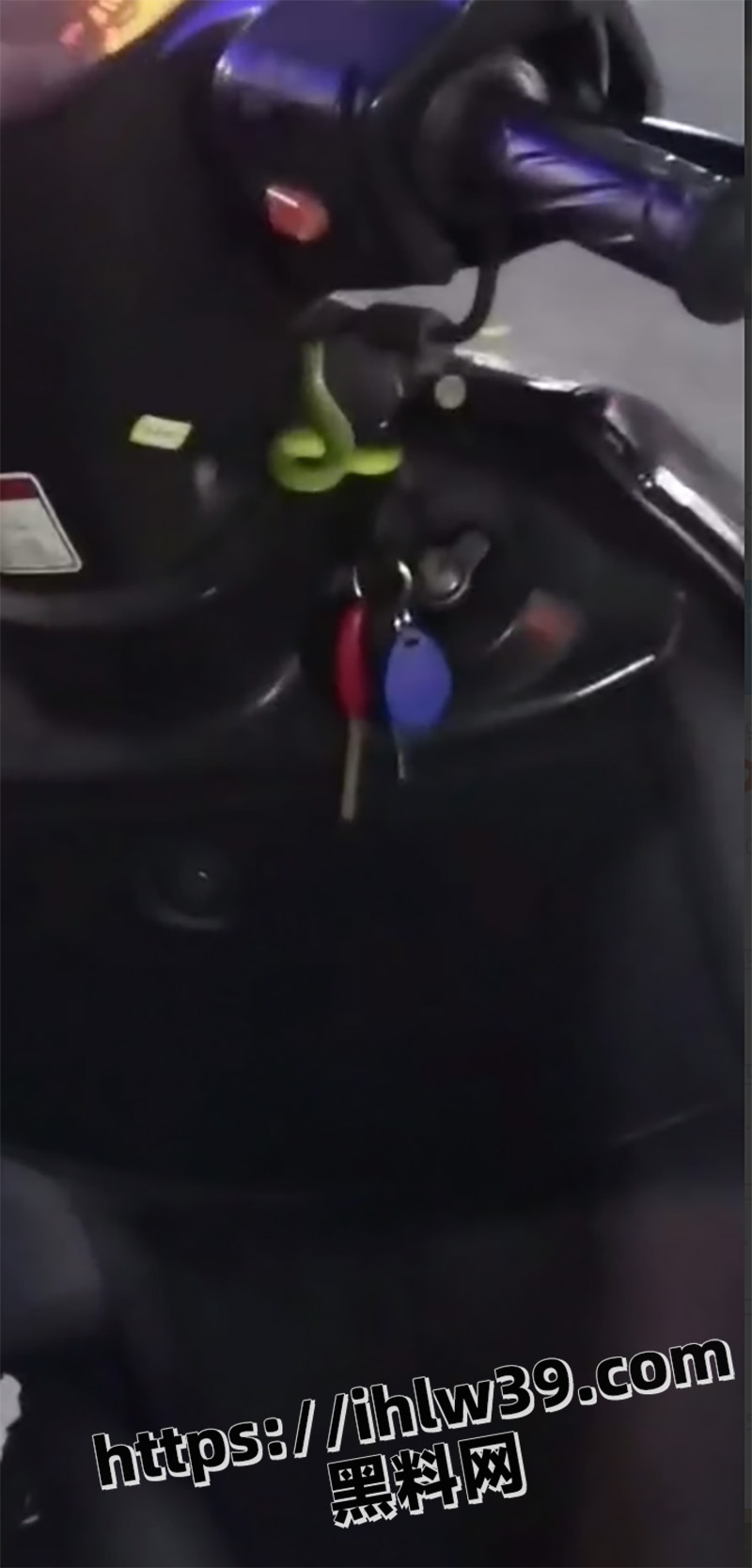 大哥不顾旁人劝阻手贱去抓小竹青 被咬中毒成麻瓜 上一秒高傲的炫耀下一秒成为医院最靓的仔