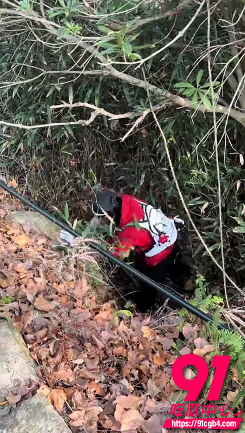 浙江博主昕霖大雷山捡垃圾 7